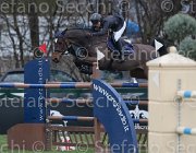 Del Signore Zingara TosTour 2013- S4 7061 : Arezzo Equestrian Centre, Del Signore Michol, Toscana Tour 2013, Zingara, foto di Stefano Secchi ©